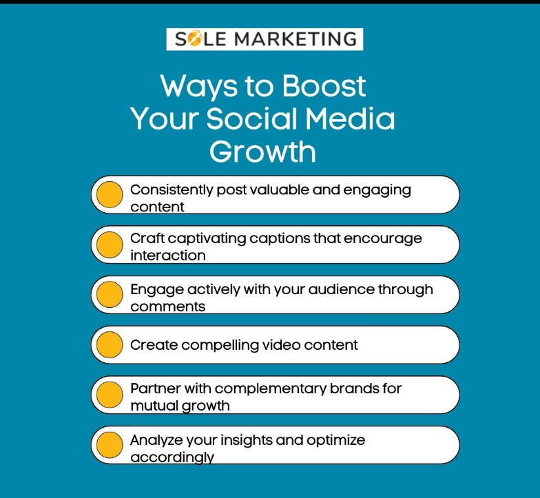 social media portfolio Toronto digital marketing freelancer